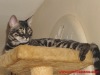 1-DSC07251