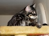1-DSC07258