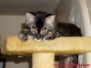 1-DSC07261