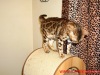 1-DSC06587-001