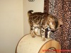 1-DSC06587