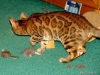 dsc00001