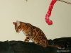 dsc00009