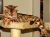 dsc00030