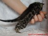 1-DSC07558