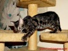1-DSC06972
